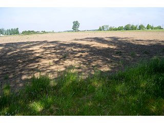 Property photo 89 - LAND AUCTION - 215+/- ACRES OFFERED IN 6 TRACTS IN VAN WERT COUNTY, OHIO